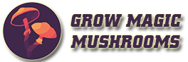 www.grow-magic-mushrooms.com